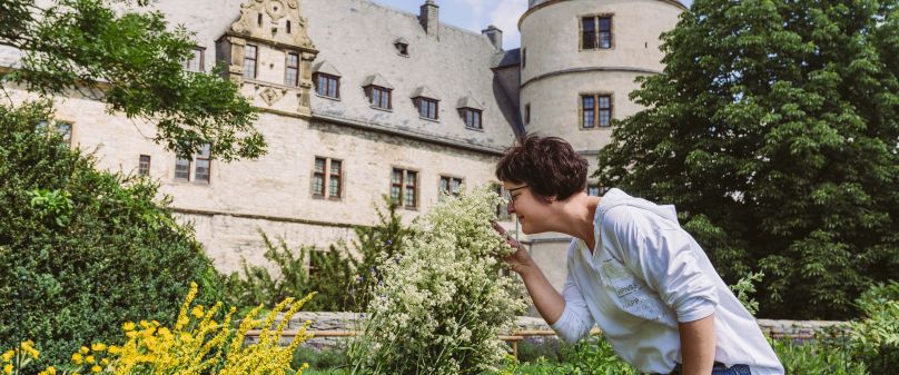 Kreismuseum Wewelsburg beteiligt sich am „Tag der Gärten und Parks in Westfalen-Lippe“